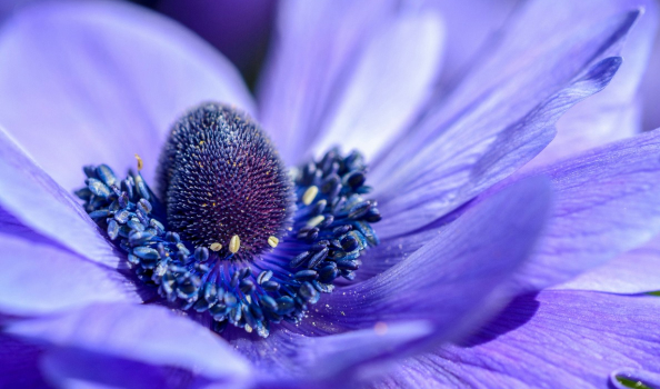 services-01 Services 01