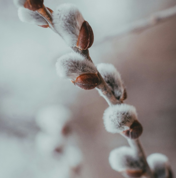 services-03 Services 03