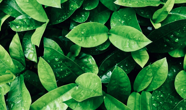 services-04 Services 04